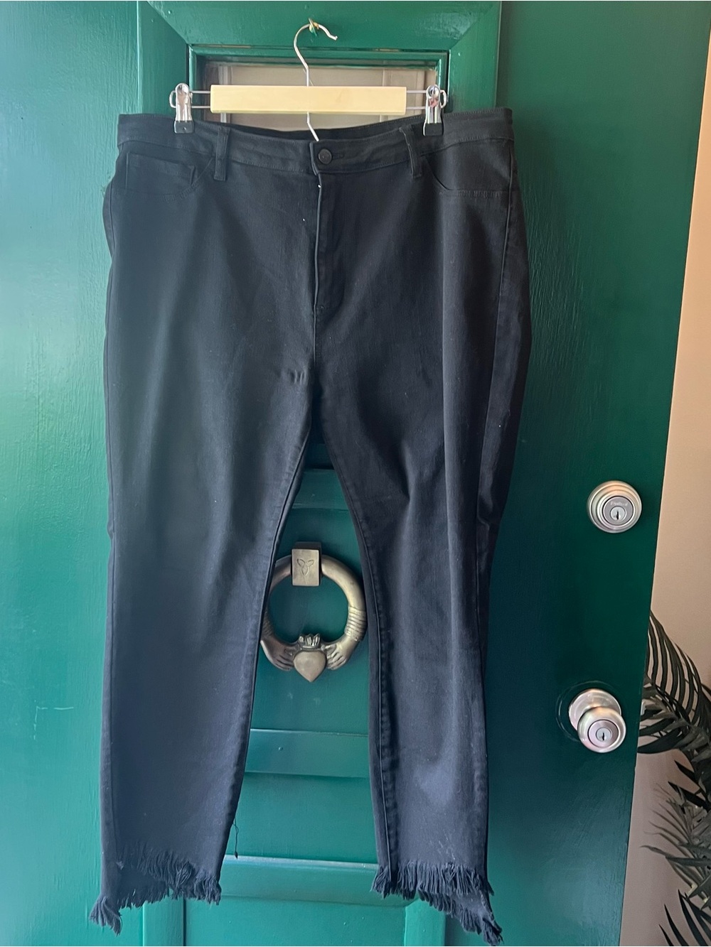 Cello Black Frayed Hem Chinos for Men